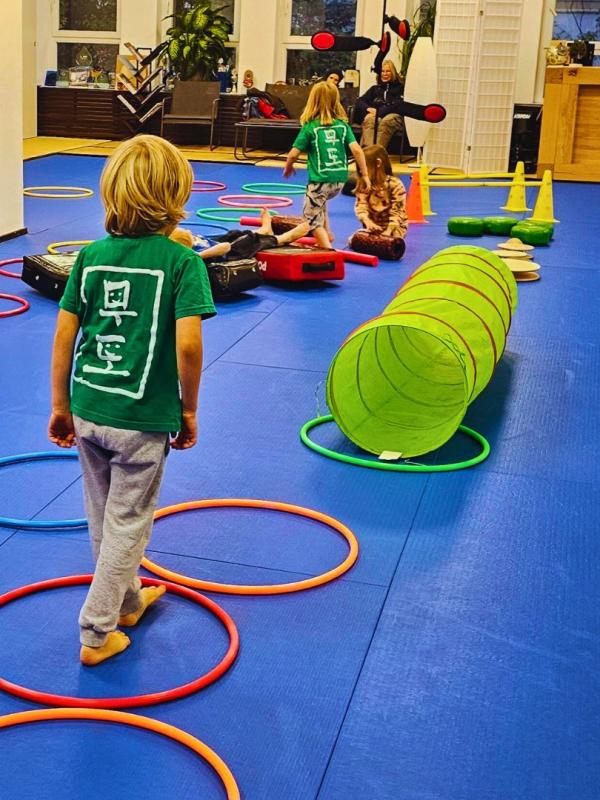 MUDOKIDS - Promoting physical activity for 4-6-year-olds